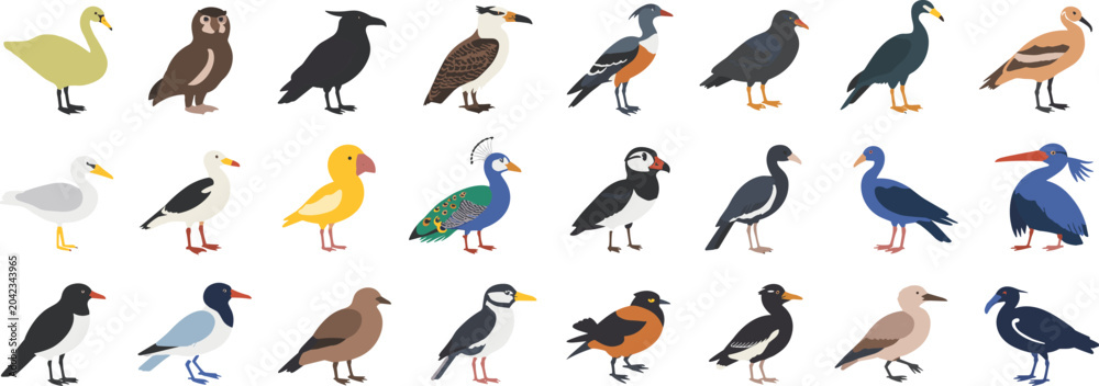 Fototapeta premium Collection of diverse bird illustrations Keywords: birds, collection, diverse, species