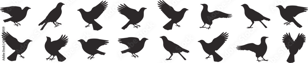 Fototapeta premium Silhouettes of birds in flight and perched on white background Keywords: bird, silhouette