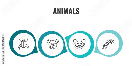 Photography animals outline icon set