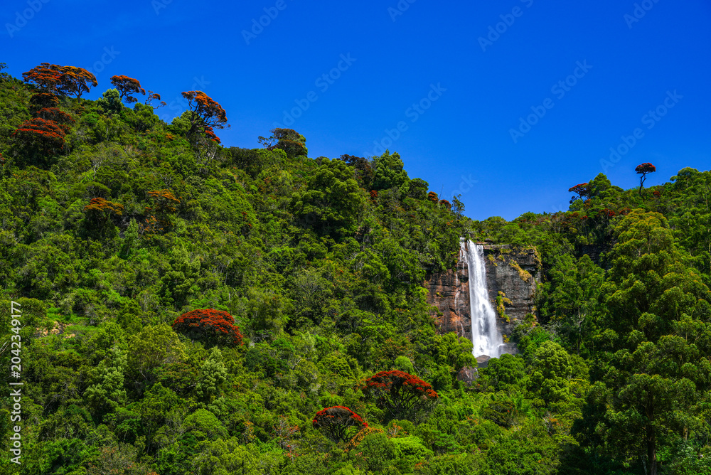 Obraz premium Lover's Leap waterfall in Nuwara Eliya, Sri Lanka, Asia 