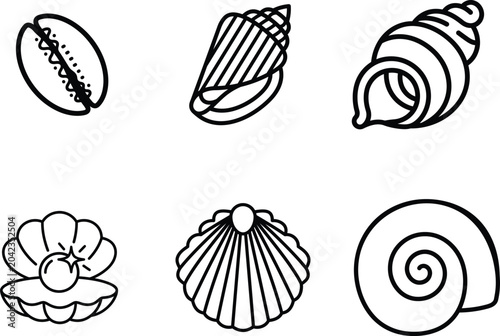 Fotografie seashells illustrations including conch scallop and oyster shell designs
