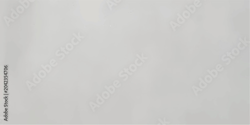 Bild auf Leinwand Gray white cement rough plaster wall texture background with subtle concrete surface details, neutral minimalist wallpaper pattern in horizontal A4 format