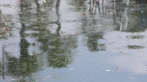 Palm Trees Reflect In Debris Filled Waterway