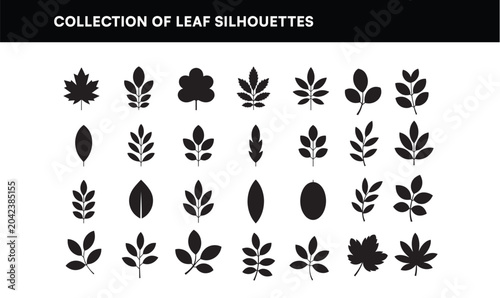 Canvastavla Leaf Silhouette Collection Vector Set - Black Flat Botanical Foliage Nature Plan