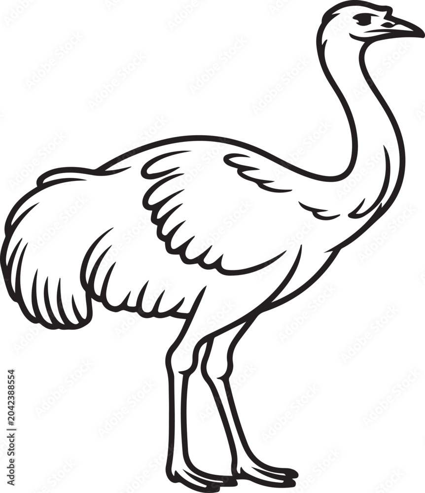 Fototapeta premium Elegant ostrich standing with long neck