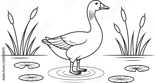 Goose standing near water plants in nature
