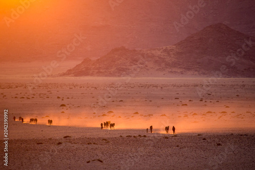Schilderij op canvas The ghosts of the Namib desert