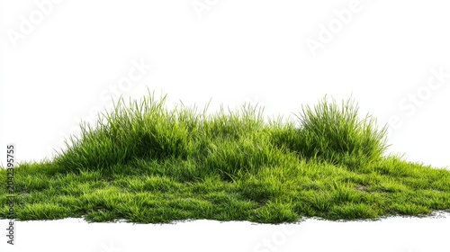 Green grass field isolated against a clean white background.