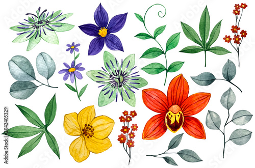 Foto Tropical flowers and leaves, a set of watercolor illustrations