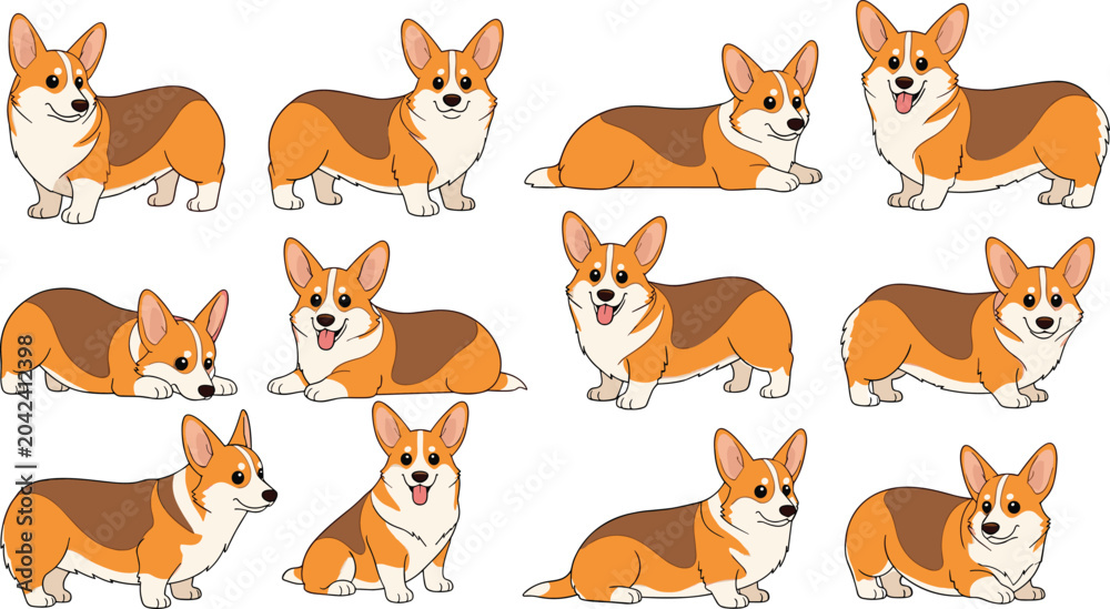 Obraz premium Cute Welsh Corgi dog character collection in various poses isolated cartoon pet vector illustration set