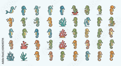 Photography colorful seahorses and corals