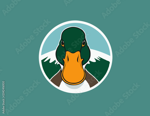 Mallard
