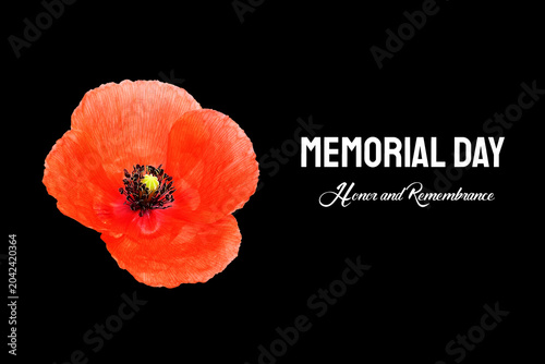 Red poppy isolated on a black background. Greeting card with text 'Memorial day, Honor and Remembrance.'