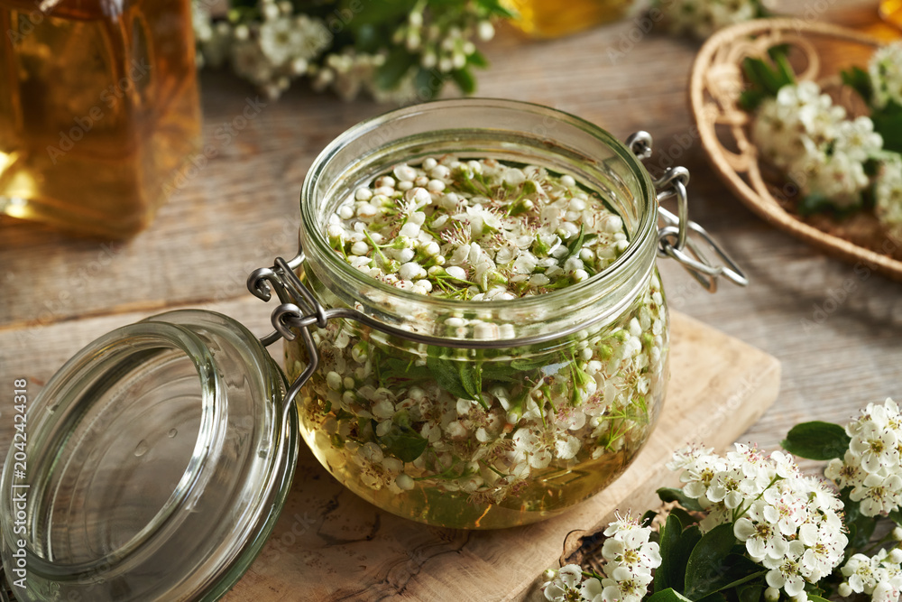 Φωτογραφία Fresh hawthorn flowers macerating in alcohol to prepare herbal tincture