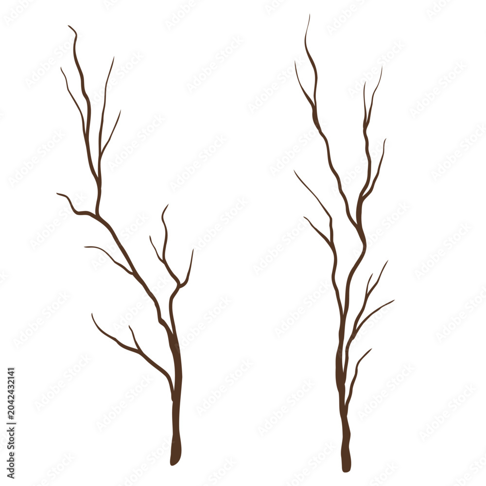 Fototapeta premium Autumn dry decorative tree branches isolated on white background. Vector hand drawn simple abstract illustration for harvest design, packaging, rustic decor, sticker