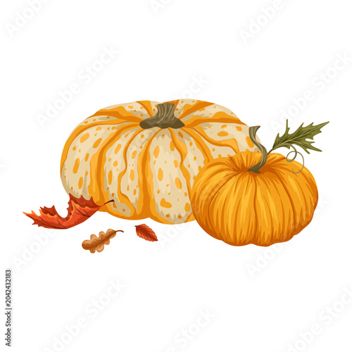Fotografía Autumn warty striped pumpkins and forest fall leaves clipart