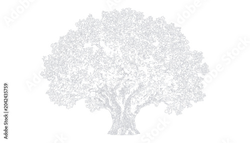 Quadro em tela Bushy deciduous tree line art monochrome graphic vector illustration bundle desi