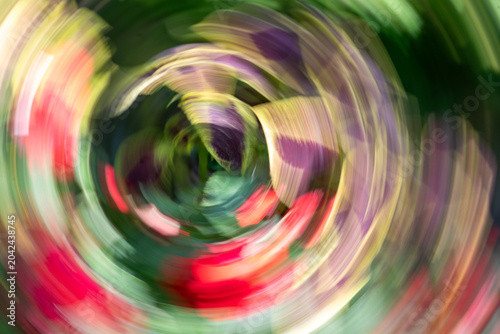 Quadro su tela Abstract circular motion blur with vibrant green, red and purple tones created using intentional camera movement, forming a dynamic artistic background with swirling energy