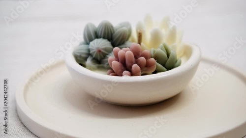 Succulent plant shaped candles in ceramic bowl.