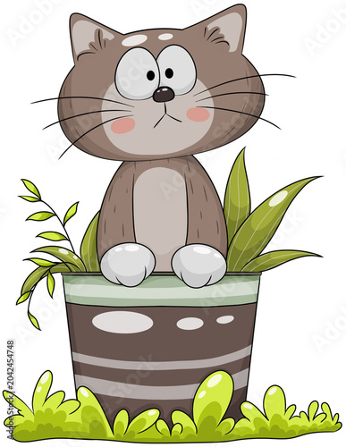 A cat in a dark brown flower pot.