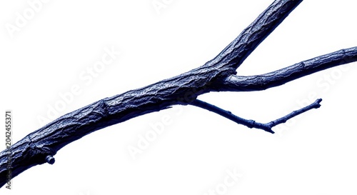 High contrast silhouette of a leafless tree branch against a stark white background, emphasizing shape and outline, silhouette, isolated, bare