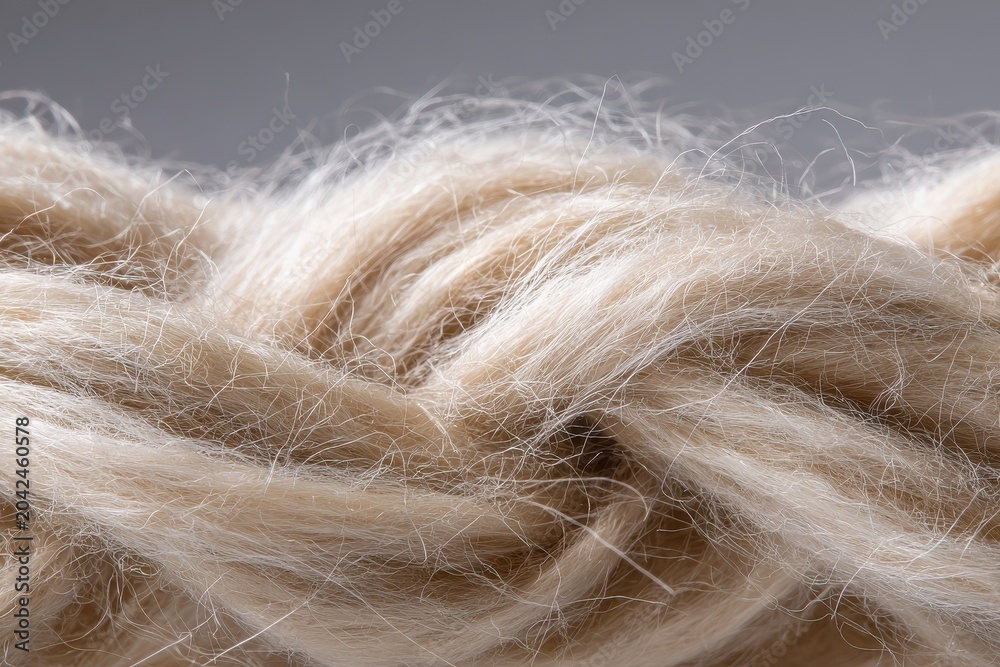 Fototapeta premium Macro view of cellulose filament interweaving and natural texture