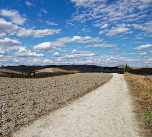 Tuscan Countryside Path Winding Through Hills Under a Cloudy Sky