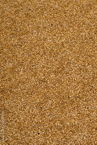 Quinoa seed with a spoon, a healthy food ingredient