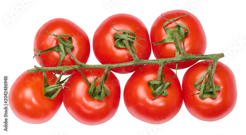 Fresh cherry tomatoes on the vine, isolated background. Juicy red tomatoes with green stems