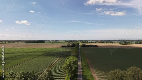 4K aerial flyover in the Noordoostpolder over a straight road. Sunny agricultural landscape with blue skies, cloud shadows, and farms.