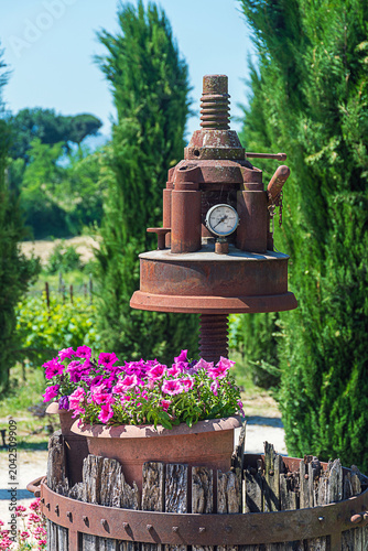 Vecchio torchio in giardino