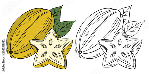 Tableau sur toile Hand-drawn illustration carambola in color and black white outline