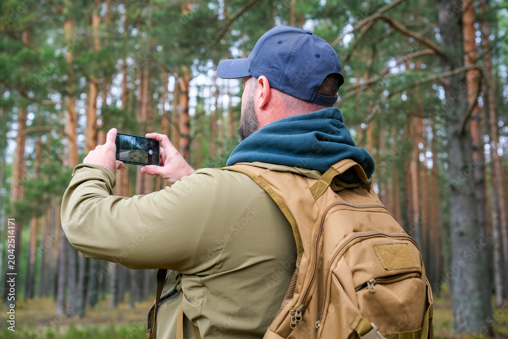 Fototapeta premium traveler with backpack uses smartphone to photograph pine woodland during hike. Nature photography and outdoor adventure concept