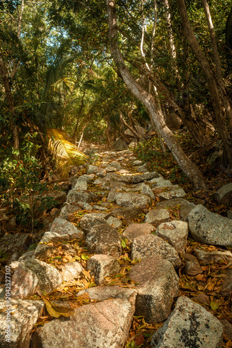 Granite stone path through tropical forest between Anse Cocos and Anse Caiman, La Digue, Seychelles