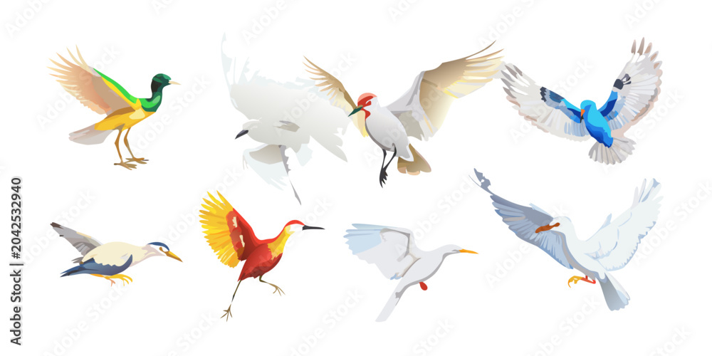 Obraz premium Collection of various colorful flying birds illustrations, vector