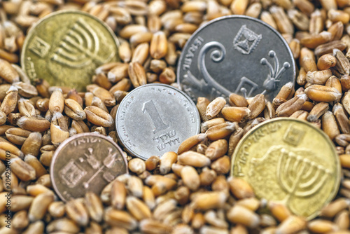 Foto Israeli shekel coins among wheat grains
