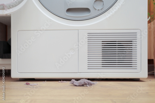 Картината върху платно Lint accumulation on wooden floor near the base of a white tumble dryer, showcas