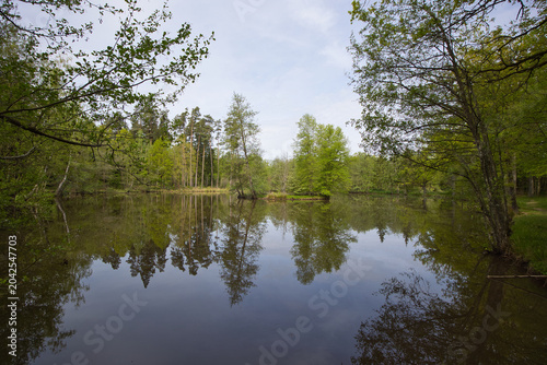 The Hirschteich is historically considered the oldest documented source area of the Altmühl River. 