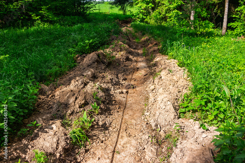 Quadro em tela Freshly plowed firebreak dirt trail between vibrant green forest and rural meado