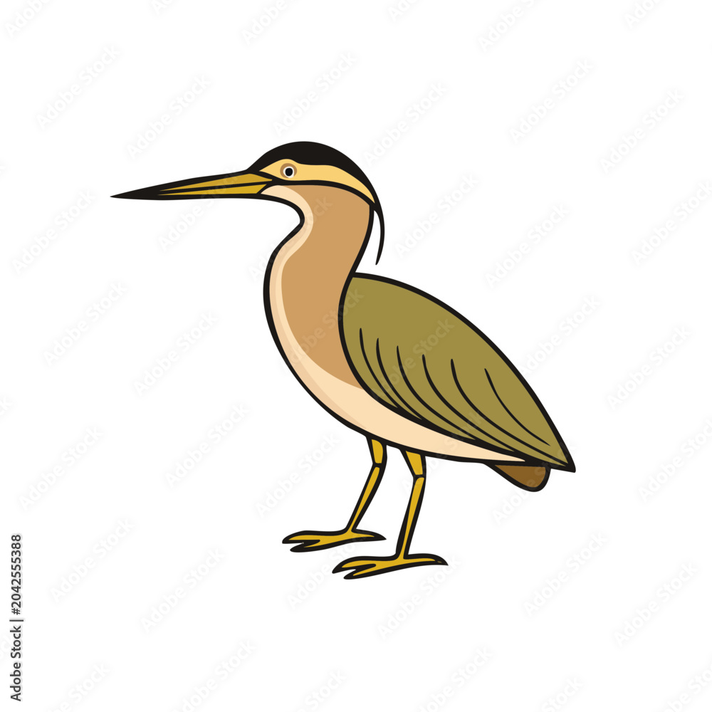 Fototapeta premium Illustration of a Little Bittern bird with yellow beak and legs standing upright