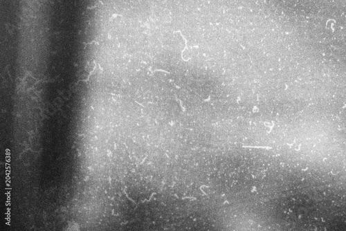 Fotografija Scan texture