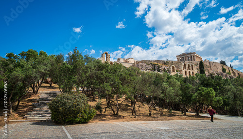 The Acropolis of Athens rising above olive trees as seen from Dionysiou Areopagitou Street in early May, capturing the blend of ancient monument and urban greenery. 1