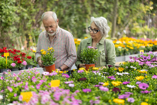 Bild auf Leinwand Elderly married chooses dimorfoteca of different colors in a garden hypermarket