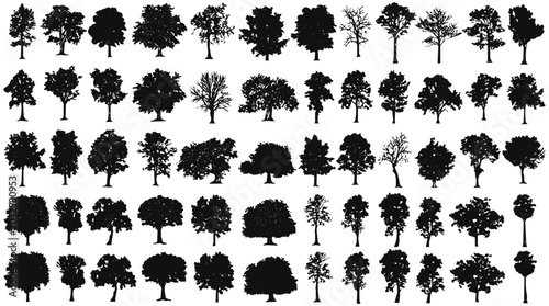 A versatile vector collection featuring diverse trees and intricate tree silhouettes, providing essential nature elements for compelling forest