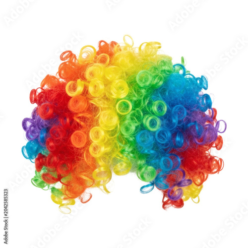 Bright and cheerful multicolored curly clown wig showcasing a playful and festive rainbow design, perfect for costume parties, celebrations, theatrical performances, and Halloween fun 
