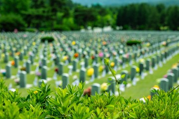 Visit Korea National Cemetery Memorial Day