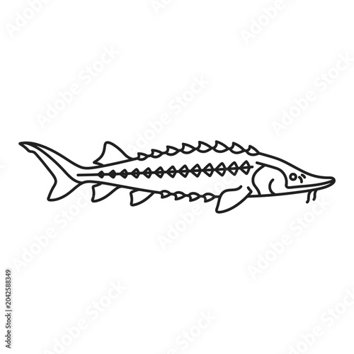 Foto Atlantic sturgeon line art illustration on white background.