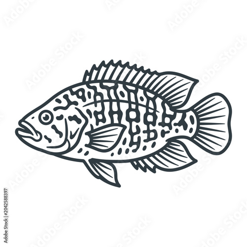 Schilderij op canvas Spotted cichlid fish line art for children's coloring.