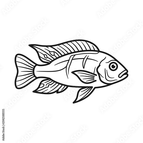 Quadro su tela Simple cichlid fish outline illustration for coloring.