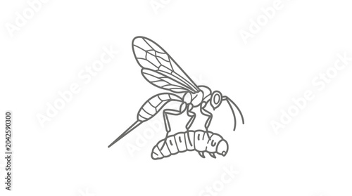 Quadro su tela Parasitic wasp carrying a larva line art drawing.